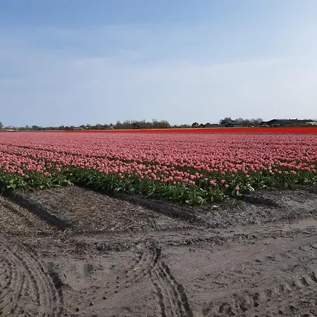 Vakantiehuis Groot Familiehuis Voor 6 Personen In Landelijke, Rustige Omgeving