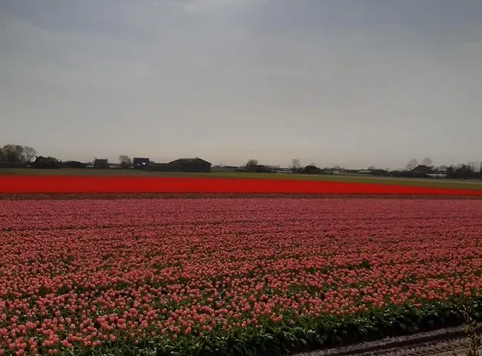 Groot Familiehuis Voor 6 Personen In Landelijke, Rustige Omgeving Breezand (North Holland)