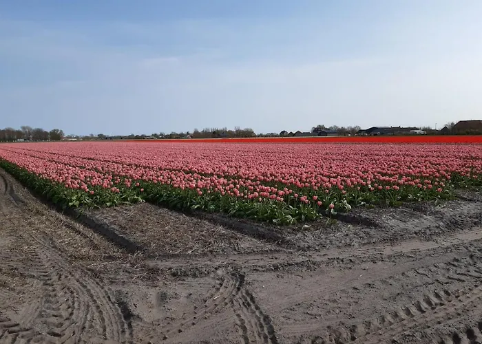 Hébergement de vacances Groot Familiehuis Voor 6 Personen In Landelijke, Rustige Omgeving