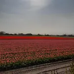 Groot Familiehuis Voor 6 Personen In Landelijke, Rustige Omgeving Breezand (North Holland)