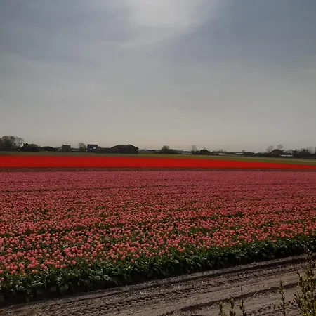 Groot Familiehuis Voor 6 Personen In Landelijke, Rustige Omgeving Breezand